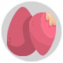Makeup Sponge 