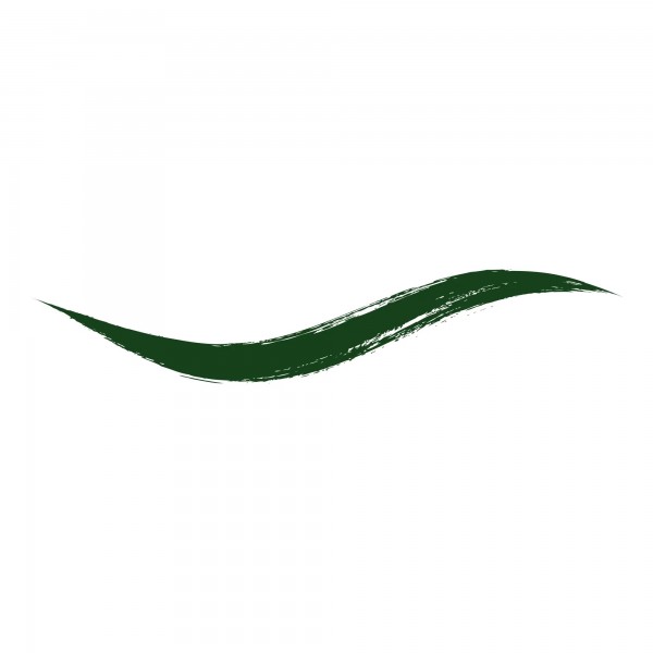 ARMAF BEAUTE DIP-IN LIQUID EYELINER - EMERALD
