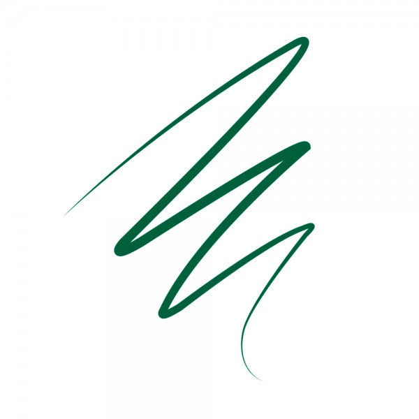 Eyeliner Flashliner