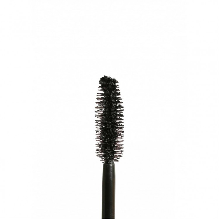 WILD VOLUME MASCARA- ARCANCIL