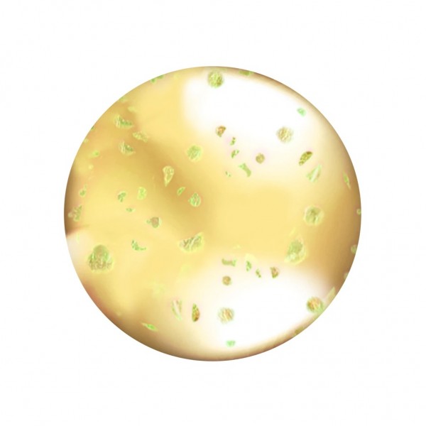 L A COLOR LIP OIL L A COLOR LIP OIL