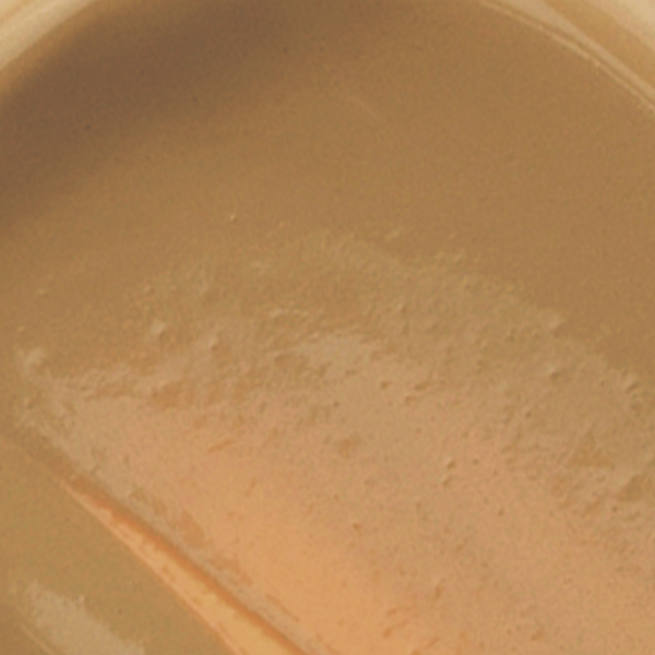 MILANI Conceal + Perfect Long Wear Concealer WARM TAN