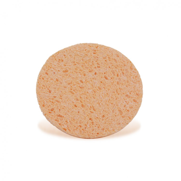 Red Star Sponge 2 Pcs